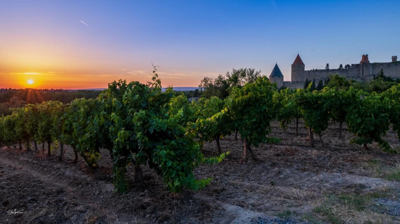 Готель Cerise Carcassonne Sud Екстер'єр фото