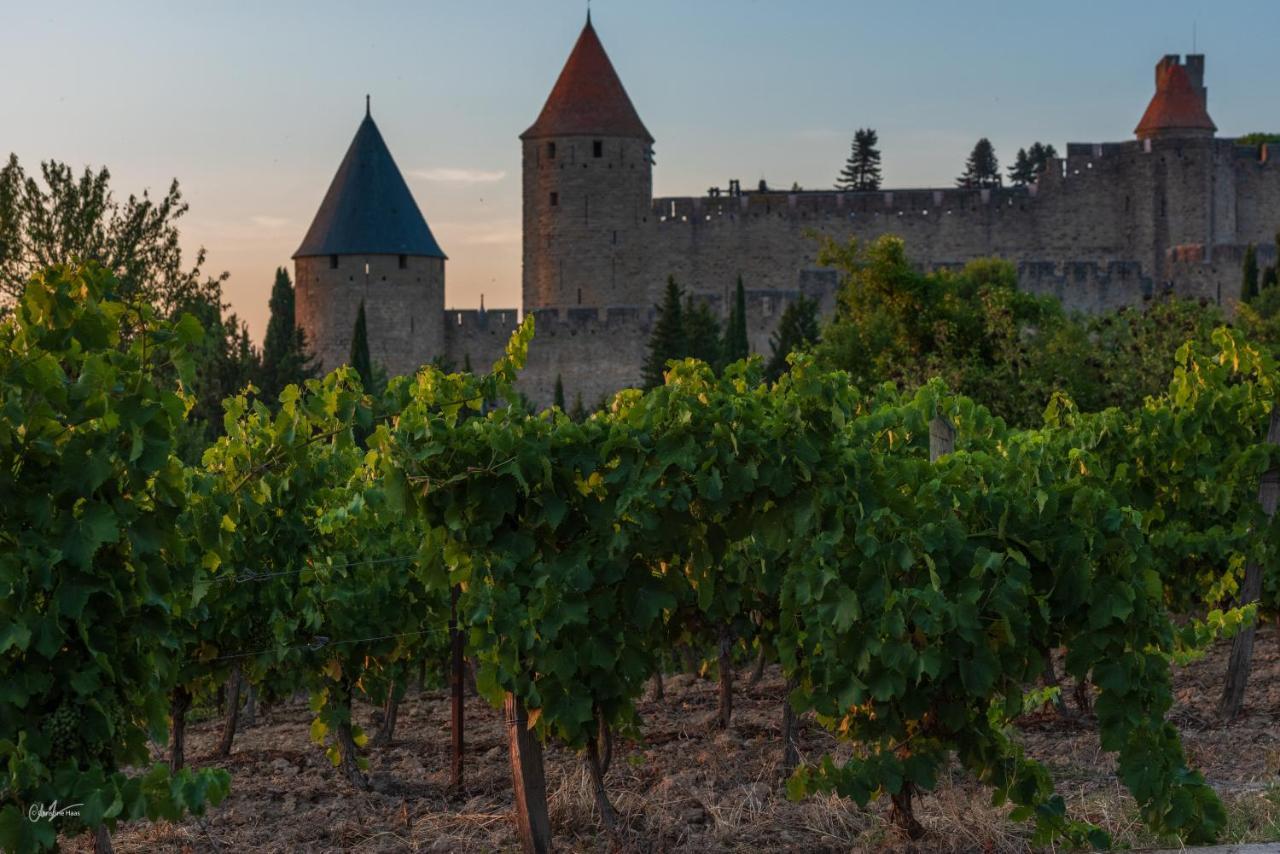 Готель Cerise Carcassonne Sud Екстер'єр фото